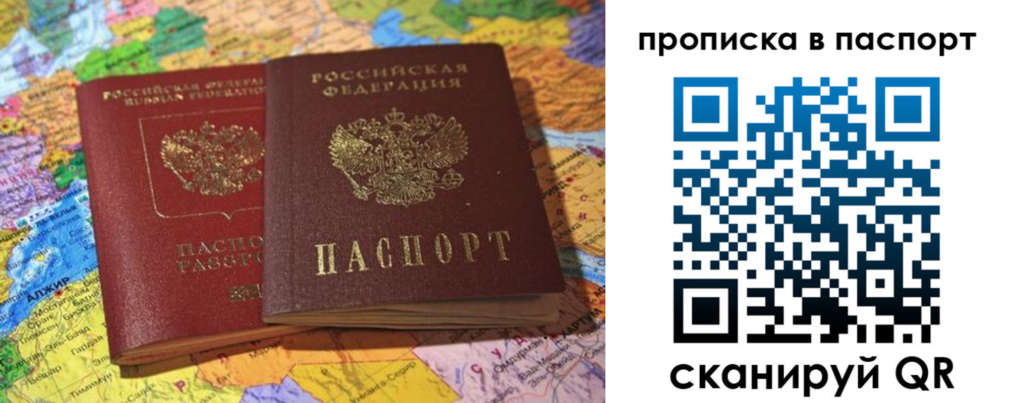 прописка гарантия в Тайге
